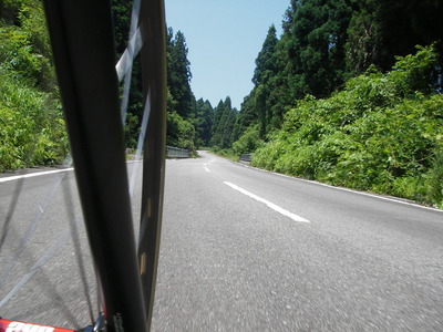 IMGP0987