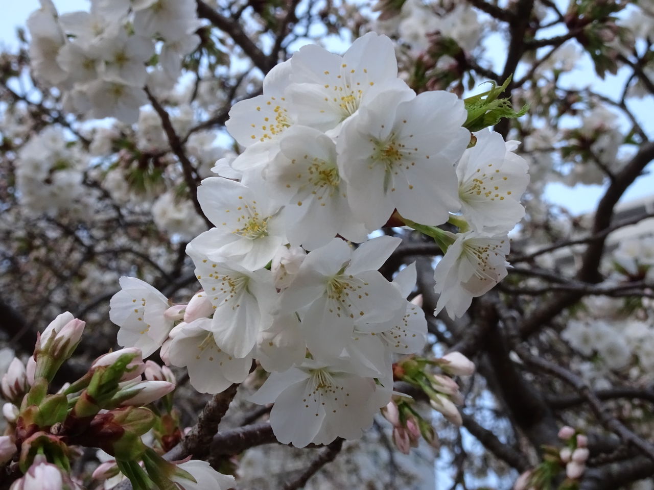シンプルで機能的 お気に入りの傘立て Days A いつもシンプルに