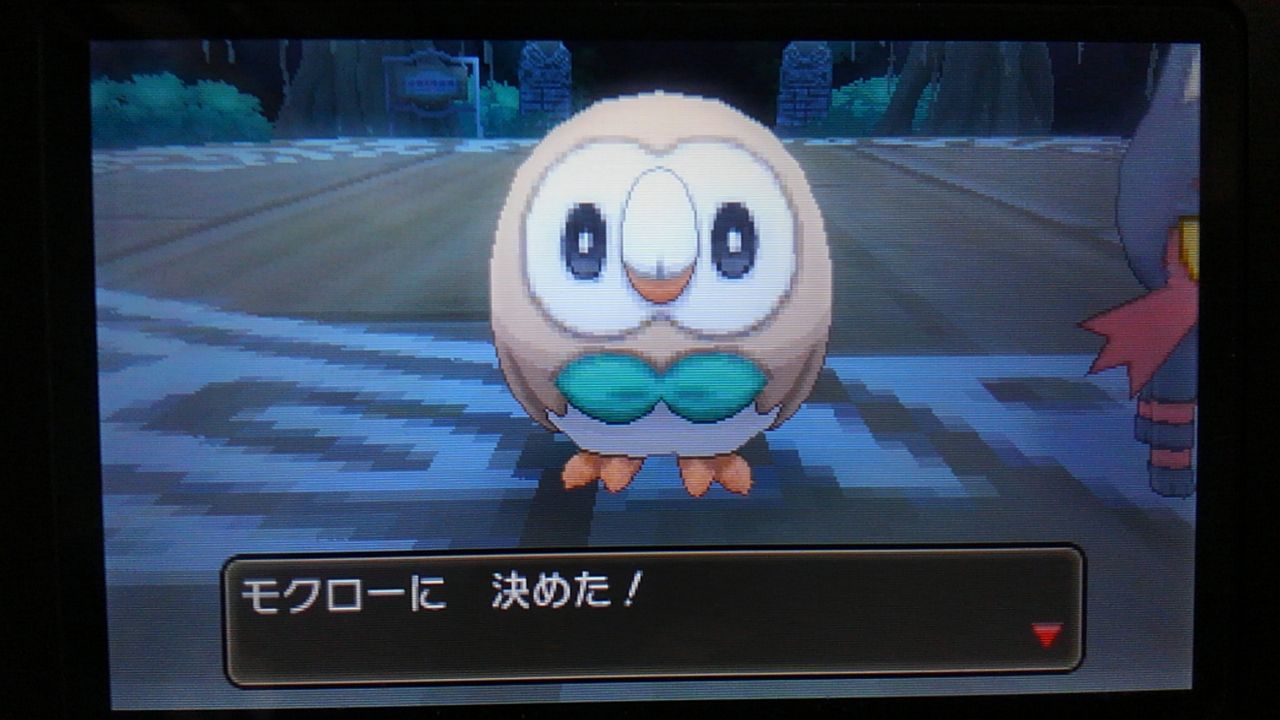 草梟とアローラ島めぐり Part1 狛馬のブログっぽい