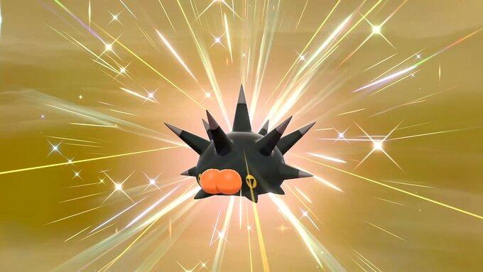 バチンウニ A 全色願望