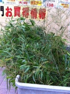 笹