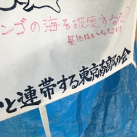 UNADJUSTEDNONRAW_thumb_d15