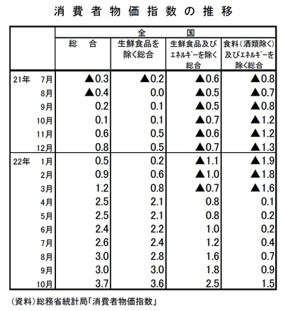 スクリーンショット 2022-11-19 13.10.18