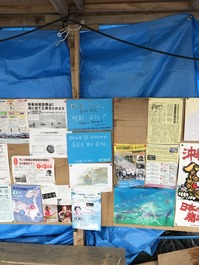 UNADJUSTEDNONRAW_thumb_d1b