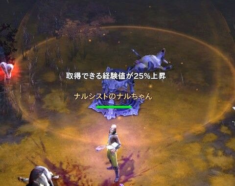 レベル上げ 黙想の泉で経験値プラス25 ディアブロ3コミュ Cs版