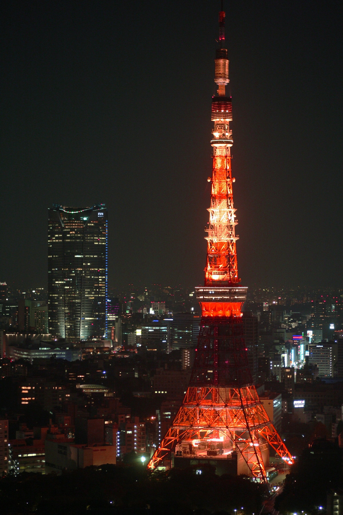 2013年ジャパンカップのジェンティルドンナと東京タワー画像