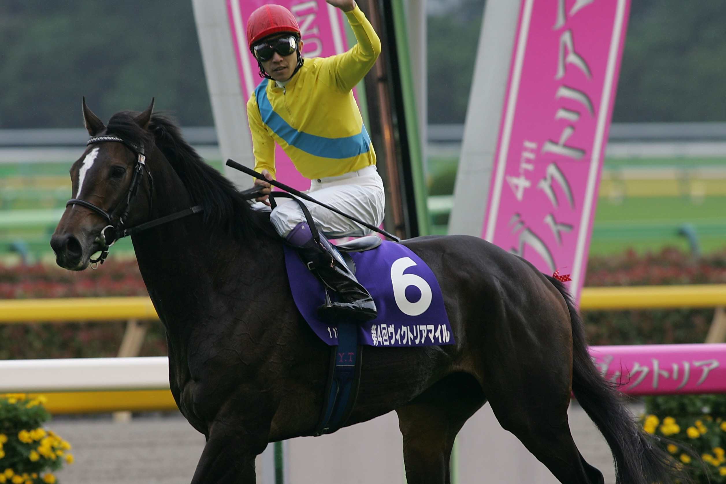 ウオッカ、ヴィクトリアマイル、ウイニングランと口取り～。 : ちょろ