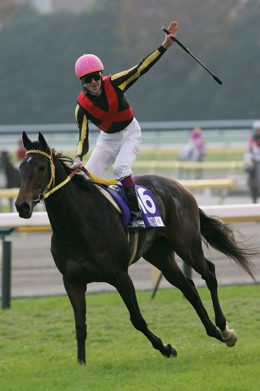 的場様 ブエナビスタ カレンチャン アイドルホース Mサイズ 的場様 ブエナビスタ カレンチャン アイドルホース Mサイズ アイドル