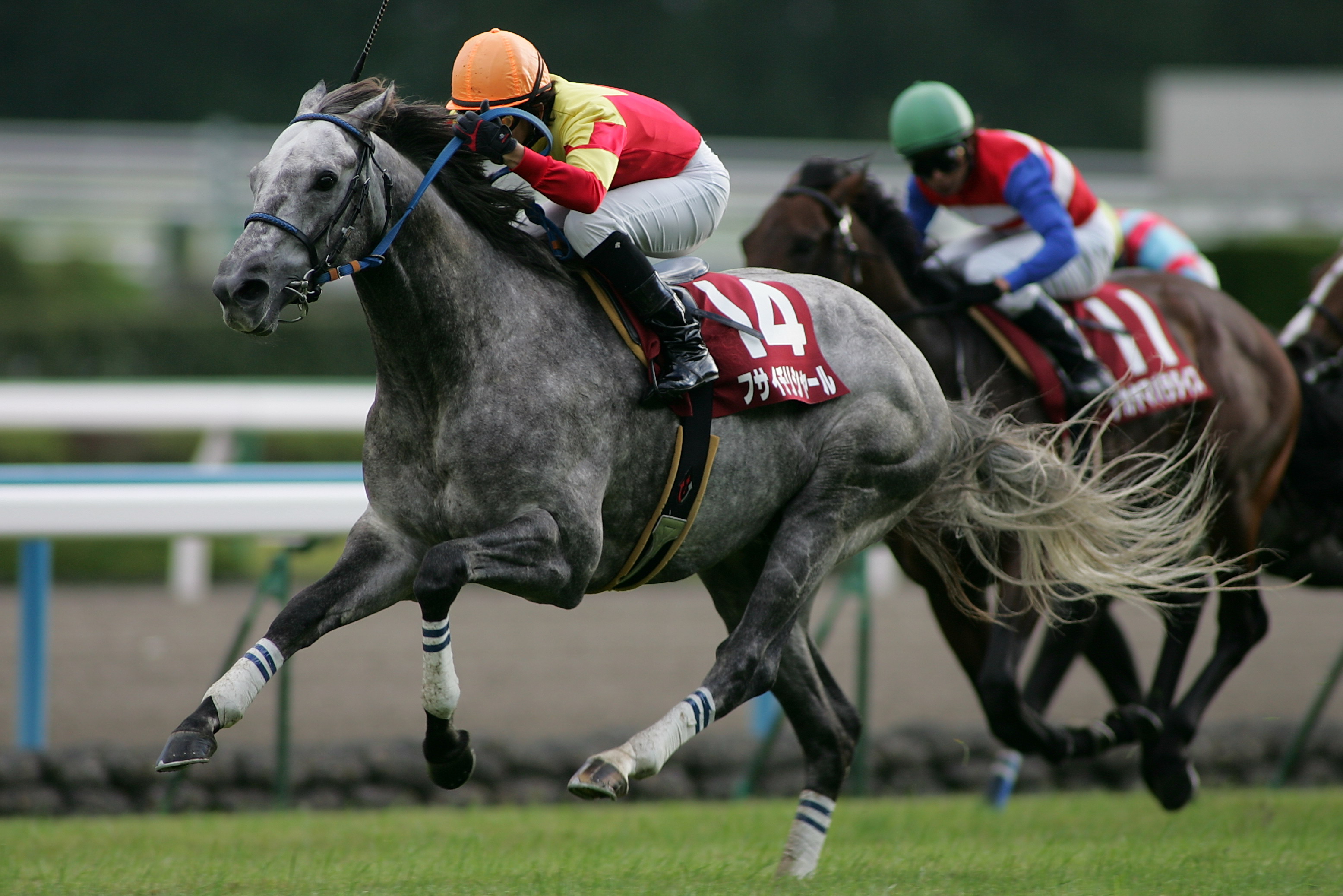 2着馬。フサイチリシャール。 : ちょろろっとそれゆけ！あるーりんぐ