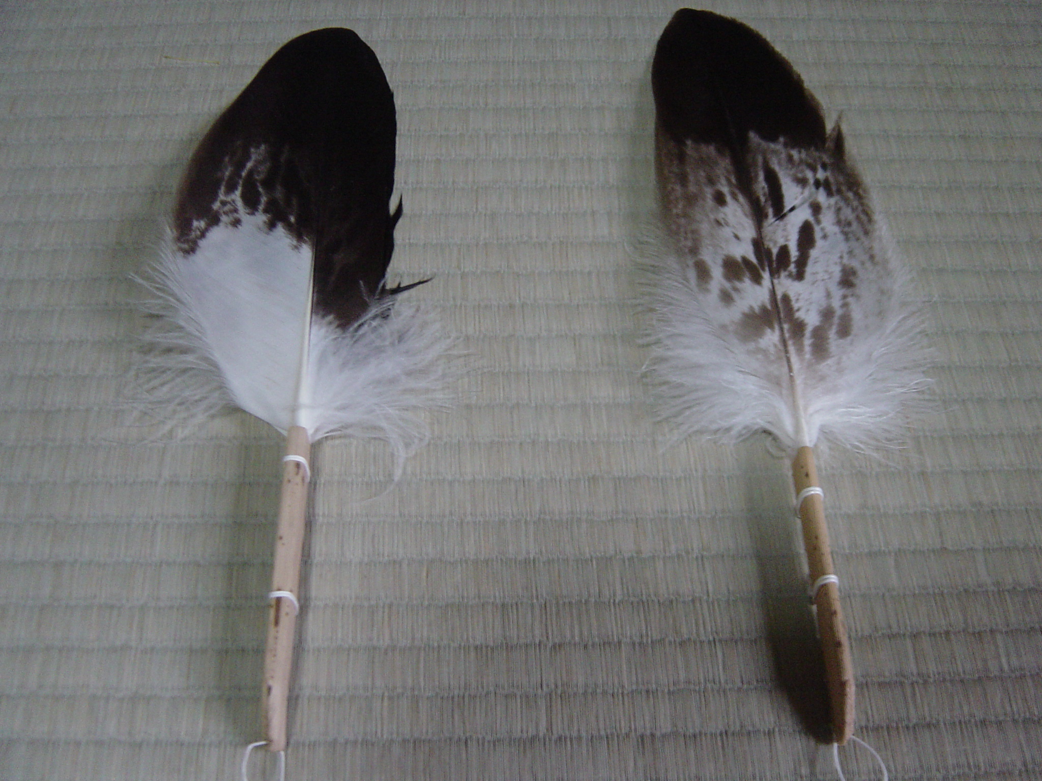 予約販売品 茶道具 炭道具 羽箒 はぼうき 炉用 孔雀 Discoversvg Com