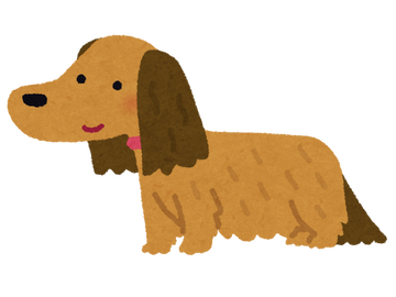 dog_dachshund_choumou