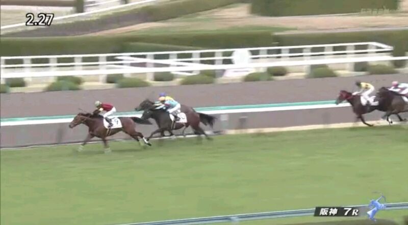 パケット使用量が激増してる あまいものとひもの