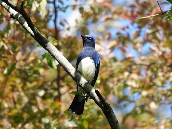 DSC04002