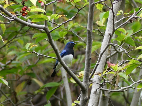 P1090071