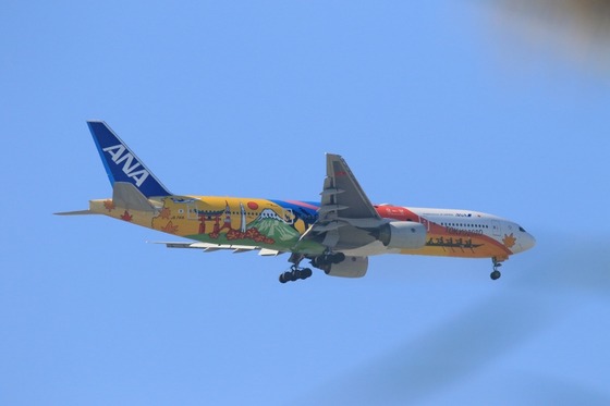 109A3677