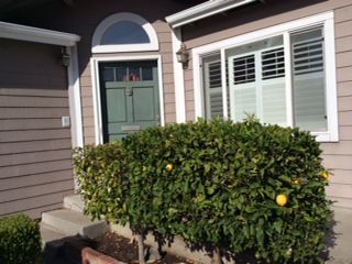 旅日記:アメリカ24泊中の24泊目。