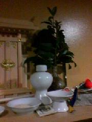 *あまから*の神棚にある榊