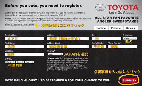 2013allstarvoting_002