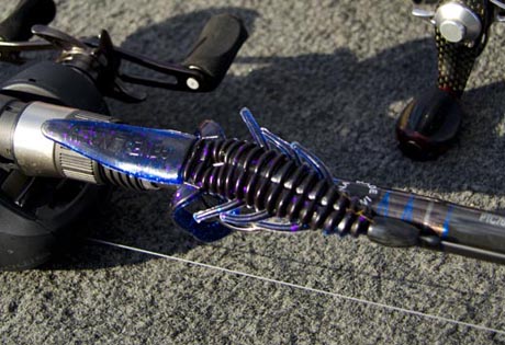 Bifflebug blackSaffire