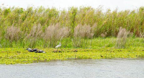 2012_03_21_okee_view_01