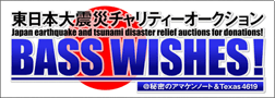 basswishes_logo2_w252