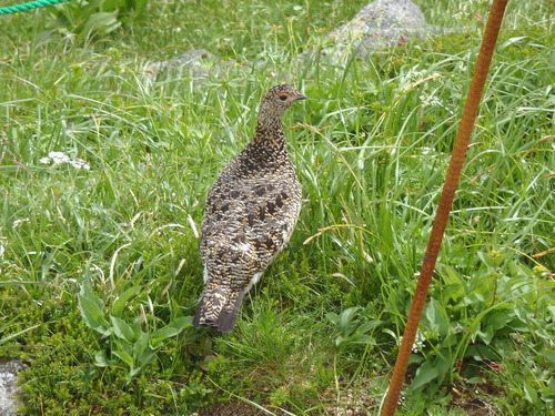 P7310007