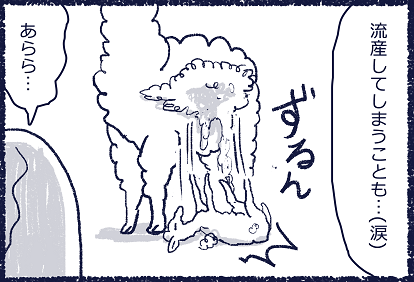 アルパカの産卵 裏 南国どぅる ん