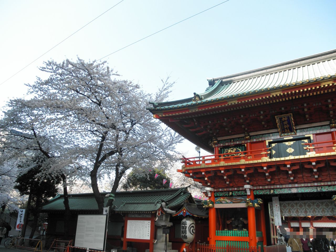 12年春 神田明神の桜 アキバ探偵 尼マイク