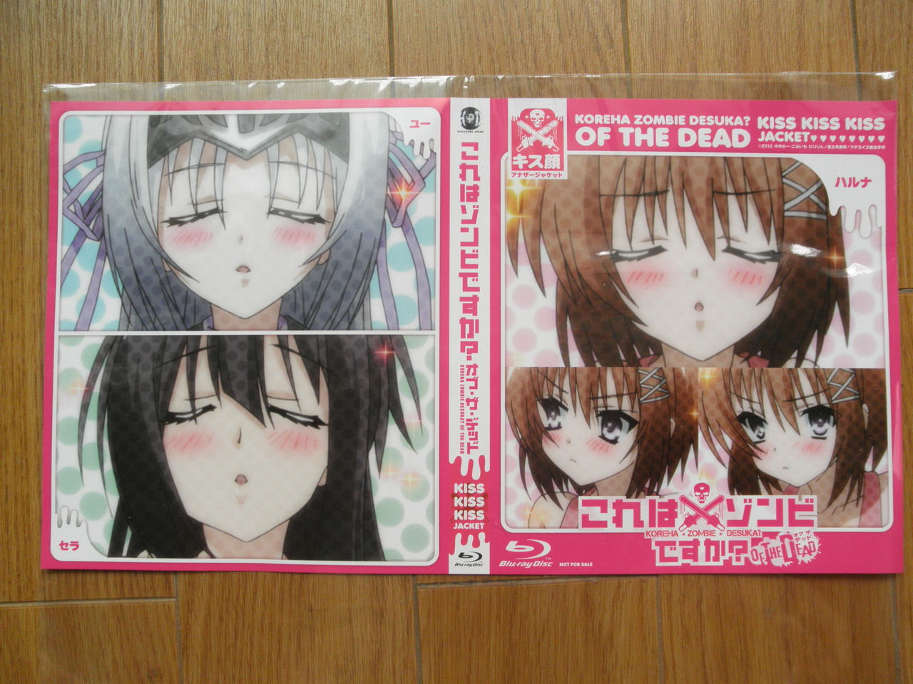 人生 しゃーなしだ これはゾンビですか オブ ザ デッド Dvd１巻発売 アキバ探偵 尼マイク