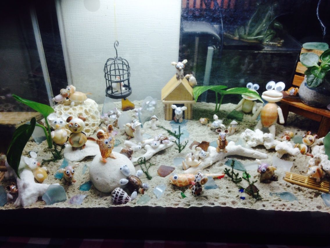 貝殻アート Amami Maruyaのblog