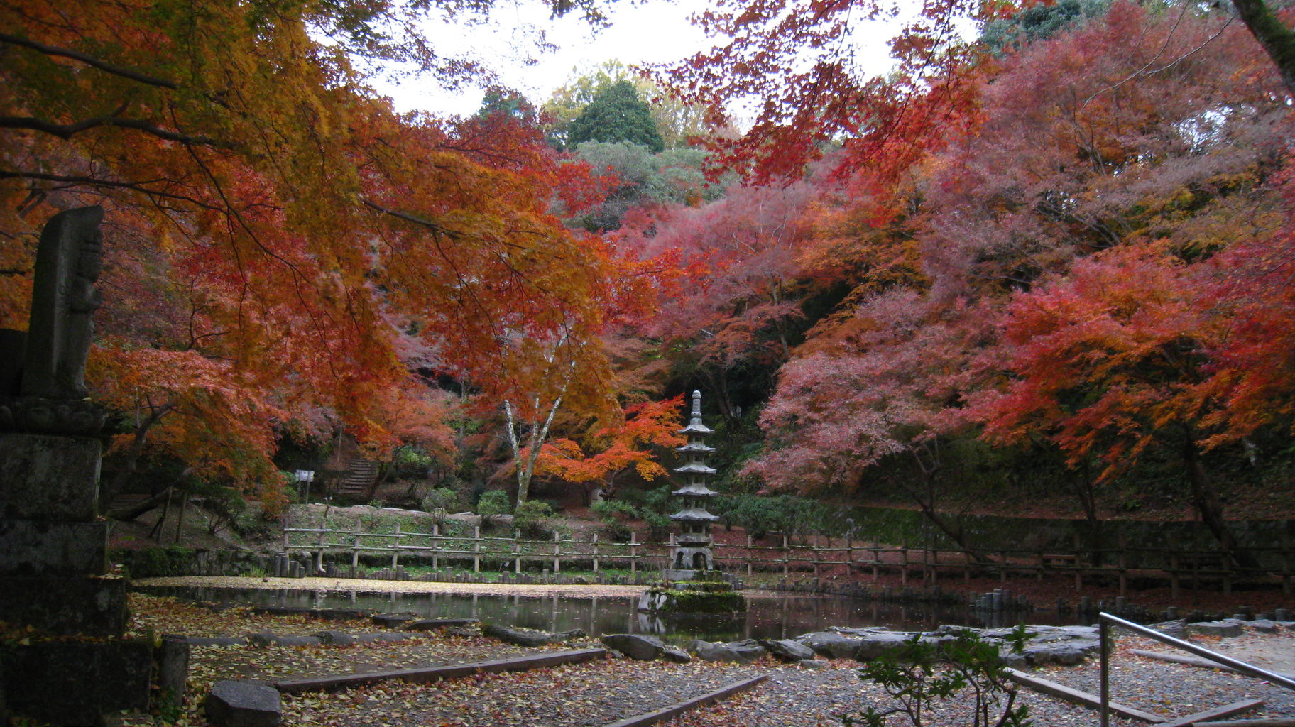 河内長野の紅葉曲 最終楽章 天見温泉南天苑ブログ よろず春秋