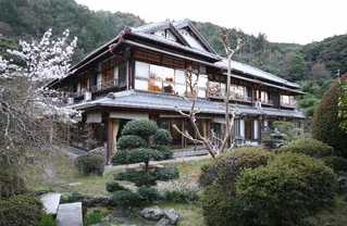 ��¦����