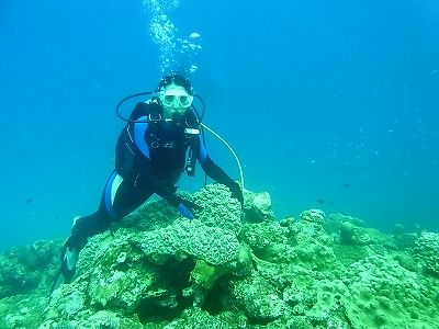 奄美でダイビング ダジキスタンの美女と 奄美ダイビング情報 Amamicodiverのブログ