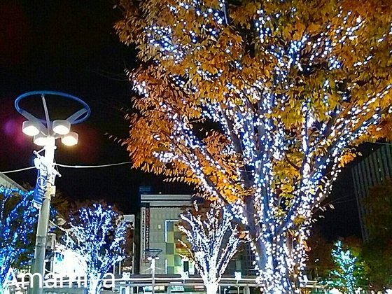 福島県郡山市 郡山駅前のイルミネーション サイゼリヤ で遅めの夕食 写真１２点 引用画像１点 アマーミャ氏のちょっとそこまで 福島県内ちょこっと歩き