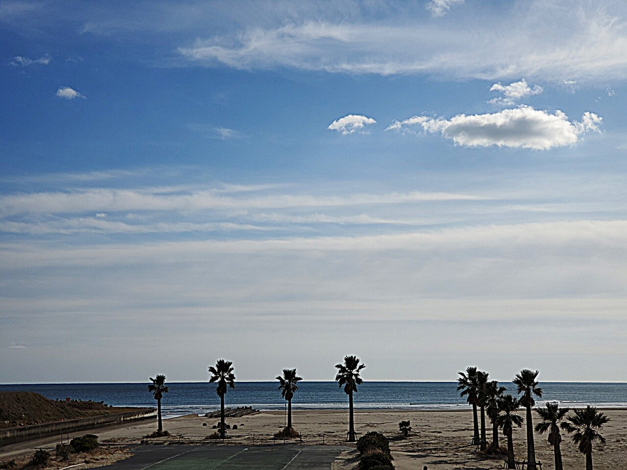 福島県いわき市 新舞子海岸 冬枯れの静かな空間 写真19点 アマーミャ氏のちょっとそこまで 福島県内ちょこっと歩き