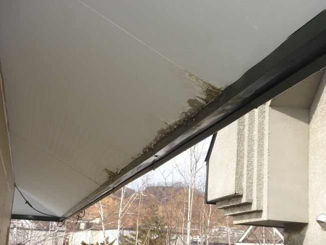 軒天のすが漏り 佐藤隆生ｉｐ研究所 旧 屋根の興研 所長のぶろぐ