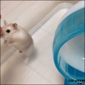 ナチュラルショップあまむ コーヒーブレッド