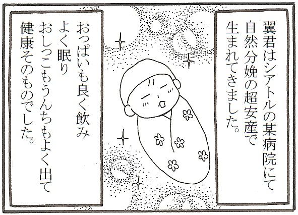 翼君がasdと診断されるまで あやしても笑わない赤ちゃん 1 ノースウエストから愛をこめて 自閉症スペクトラムっ子と送るシアトルライフ