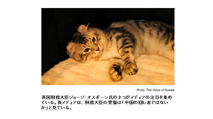 h250511_cat_01
