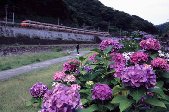 イメージ 1