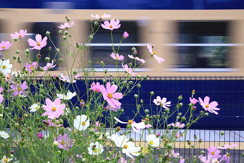 BEF104E7-0D31-4F79-9EFC-013E4C126709