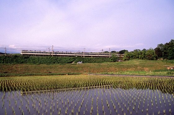 イメージ 1