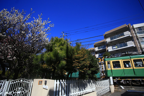 3423DE8A-4EB6-4AEC-B45E-A9F4E60F6613