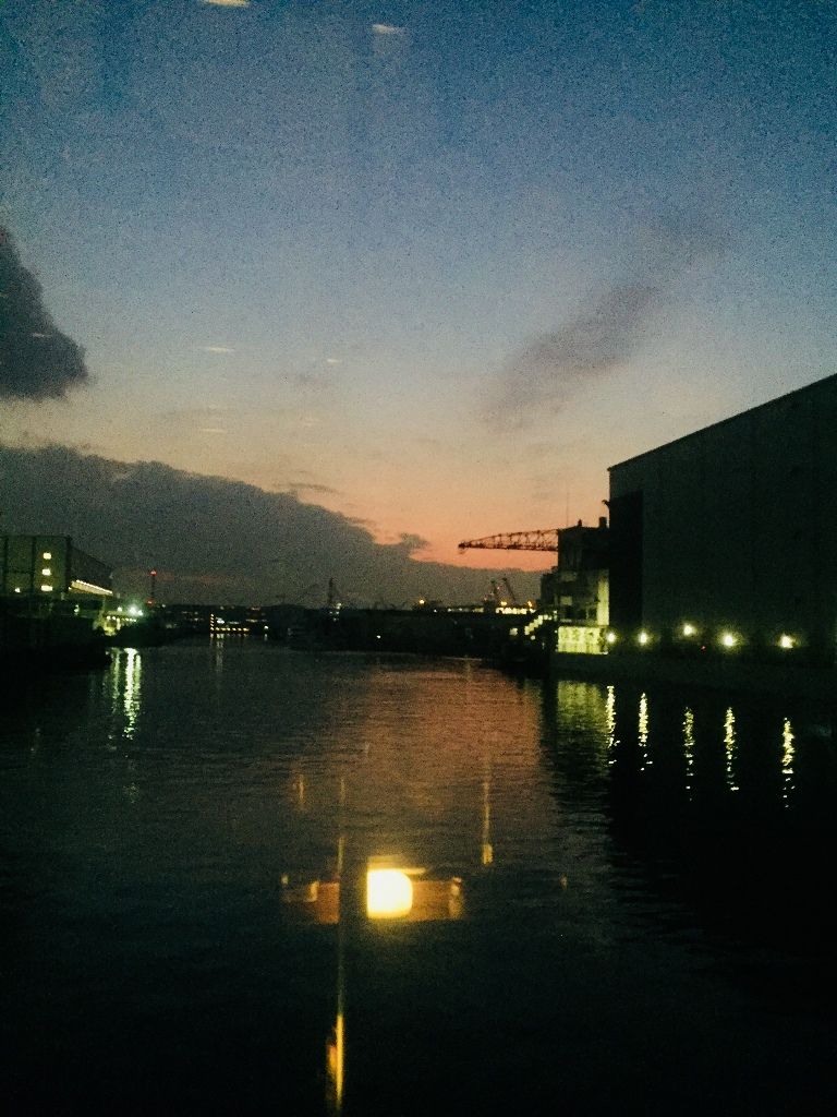 イメージ 7