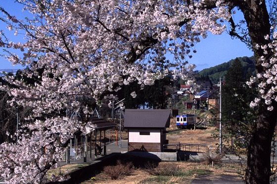 イメージ 1