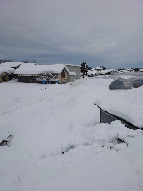 雪下ろし２