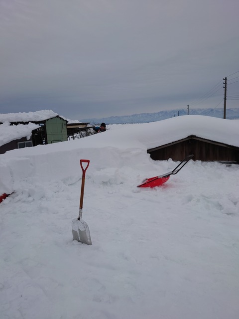 雪下ろし１