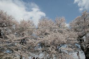 IMG_1351