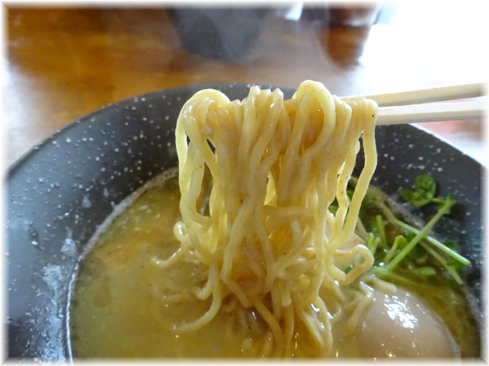 しおさい 鶏そばの麺