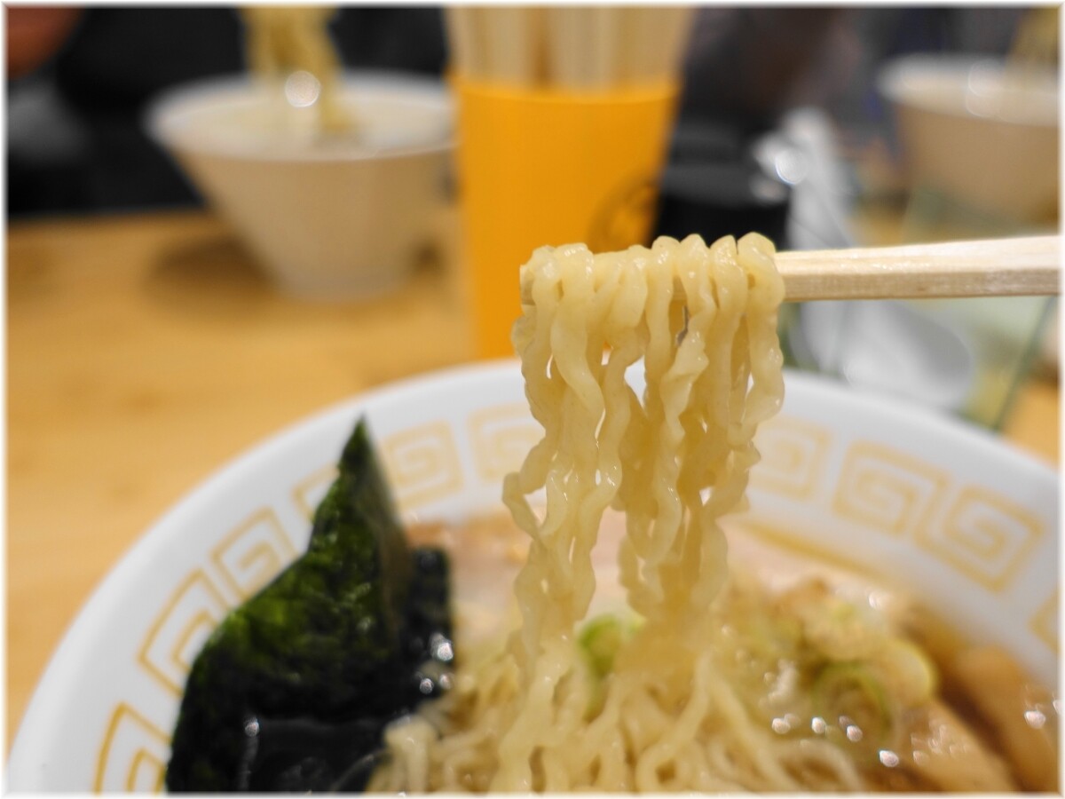 るうすと 煮干し中華(並)の麺